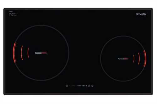 Bếp từ D'mestik ES-899DKI